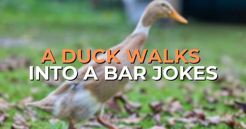 a duck walks into a bar jokes