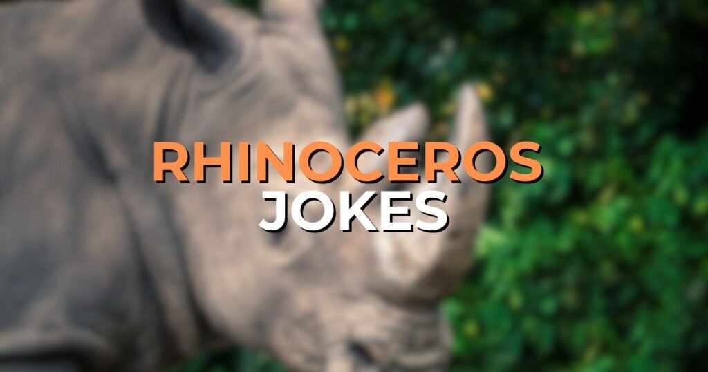rhinoceros jokes