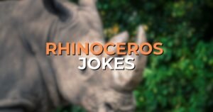 rhinoceros jokes