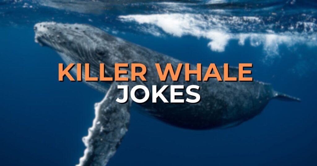 killer whale jokes
