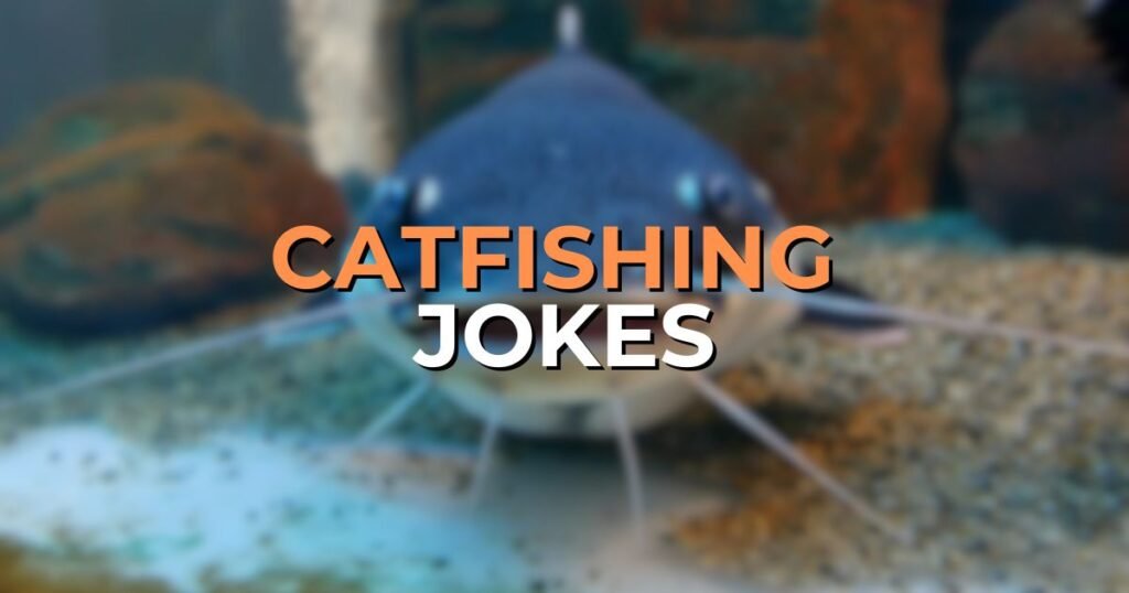 Catfishing Jokes