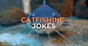 Catfishing Jokes