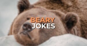 beary jokes
